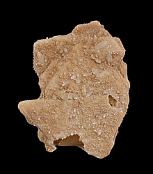 Quartz pseudomorph after Barite, Almanor Mining District, Plumas County, CA